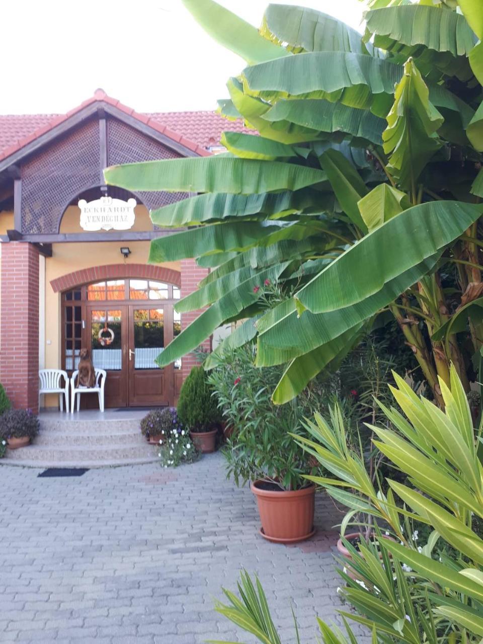 Eckhardt Vendeghaz Hotel Villány Eksteriør billede